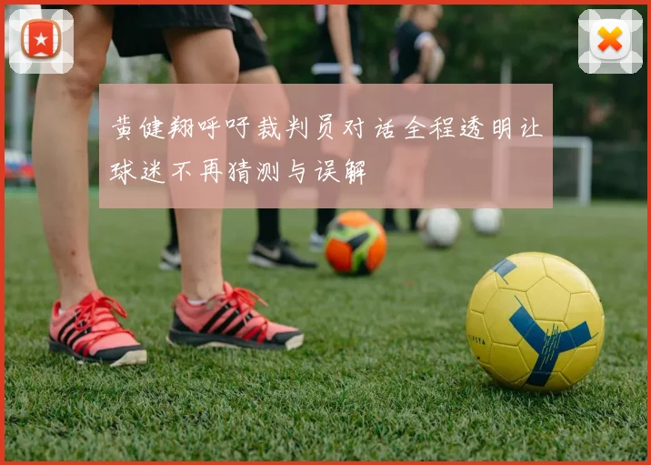 黄健翔呼吁裁判员对话全程透明让球迷不再猜测与误解